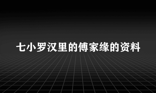 七小罗汉里的傅家缘的资料