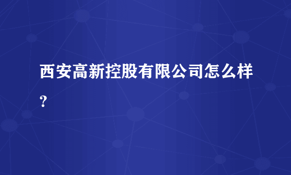 西安高新控股有限公司怎么样？