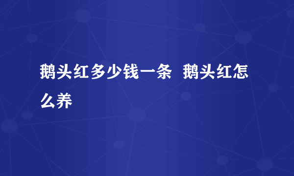 鹅头红多少钱一条  鹅头红怎么养