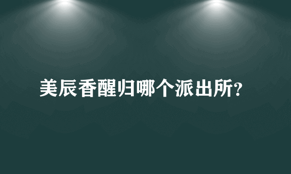 美辰香醒归哪个派出所？