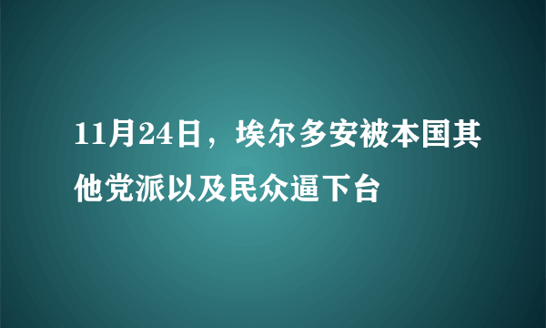 11月24日，埃尔多安被本国其他党派以及民众逼下台