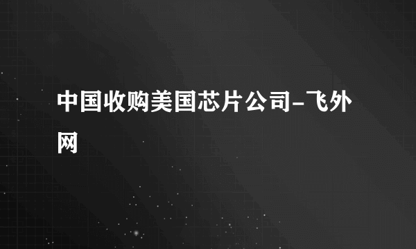 中国收购美国芯片公司-飞外网