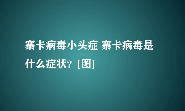 寨卡病毒小头症 寨卡病毒是什么症状？[图]