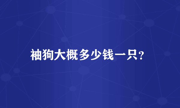 袖狗大概多少钱一只？