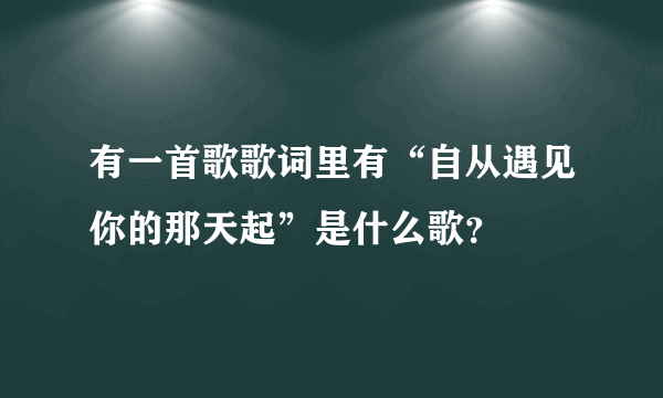 有一首歌歌词里有“自从遇见你的那天起”是什么歌？