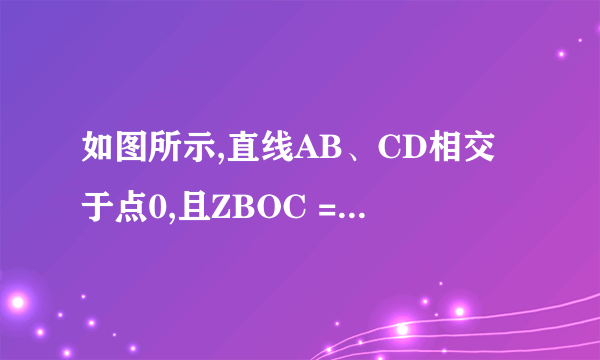 如图所示,直线AB、CD相交于点0,且ZBOC = 80°, OE平分ZBOC. 0F为OE的 反向延长线.求Z2和Z3的度数,并说明OF是否为ZA0D的平分线.