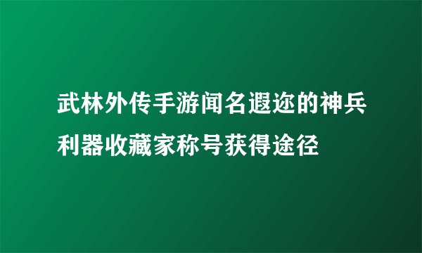 武林外传手游闻名遐迩的神兵利器收藏家称号获得途径