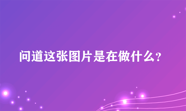 问道这张图片是在做什么？