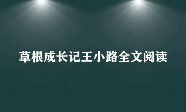 草根成长记王小路全文阅读