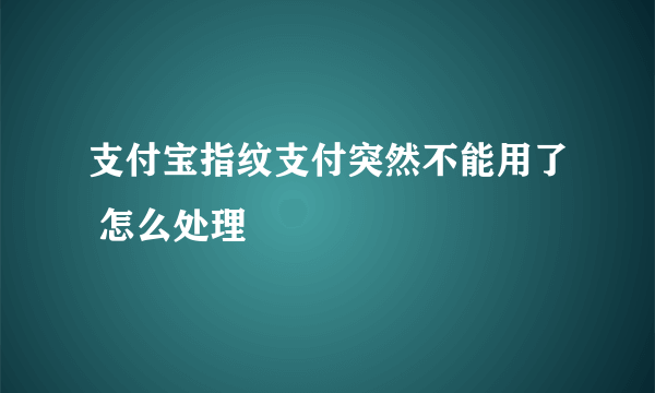 支付宝指纹支付突然不能用了 怎么处理