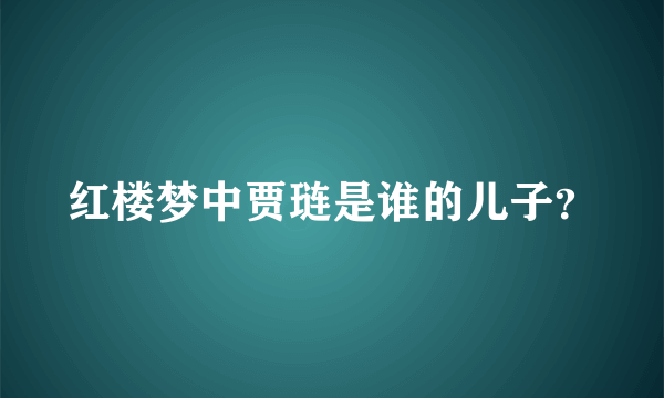 红楼梦中贾琏是谁的儿子？