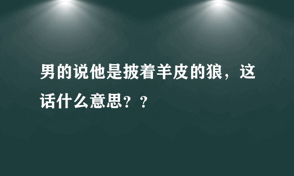 男的说他是披着羊皮的狼，这话什么意思？？