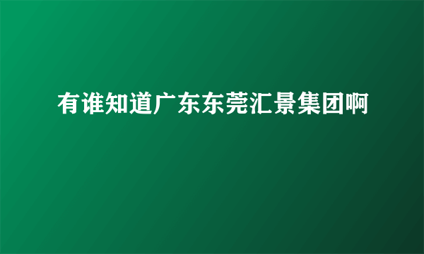 有谁知道广东东莞汇景集团啊