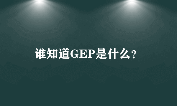 谁知道GEP是什么？