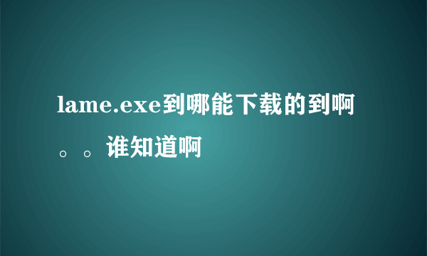 lame.exe到哪能下载的到啊。。谁知道啊