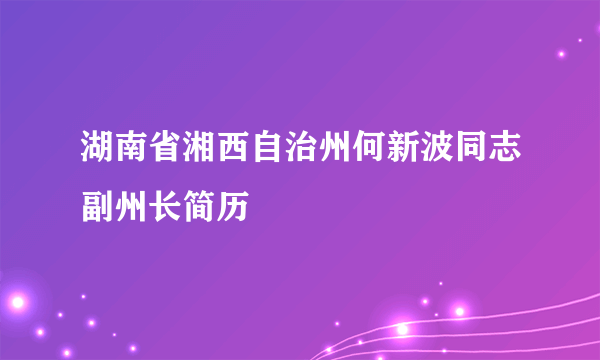 湖南省湘西自治州何新波同志副州长简历