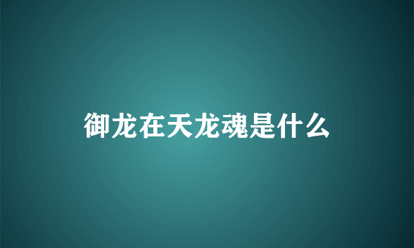 御龙在天龙魂是什么