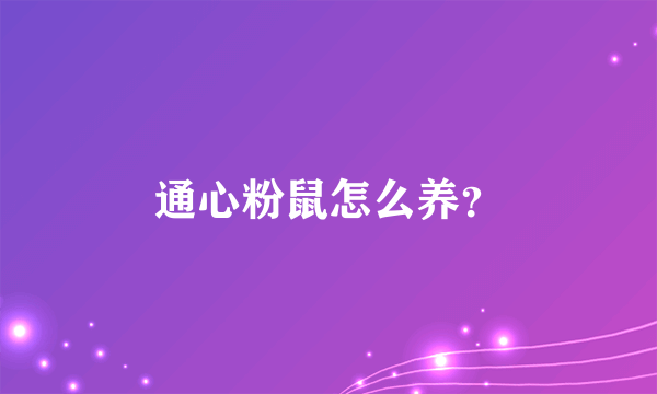 通心粉鼠怎么养？