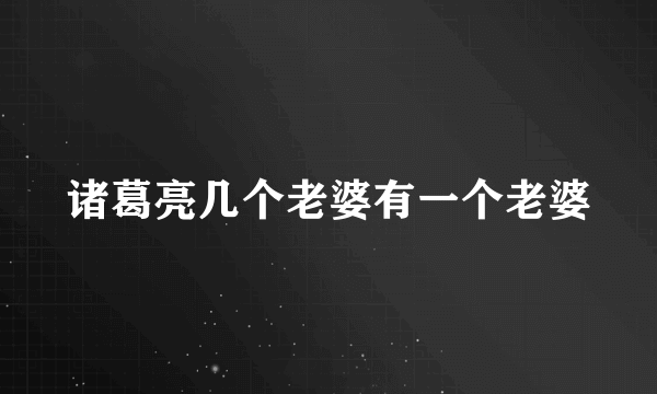 诸葛亮几个老婆有一个老婆