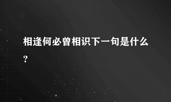 相逢何必曾相识下一句是什么？