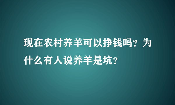 现在农村养羊可以挣钱吗？为什么有人说养羊是坑？