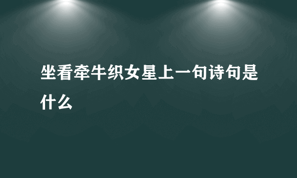 坐看牵牛织女星上一句诗句是什么