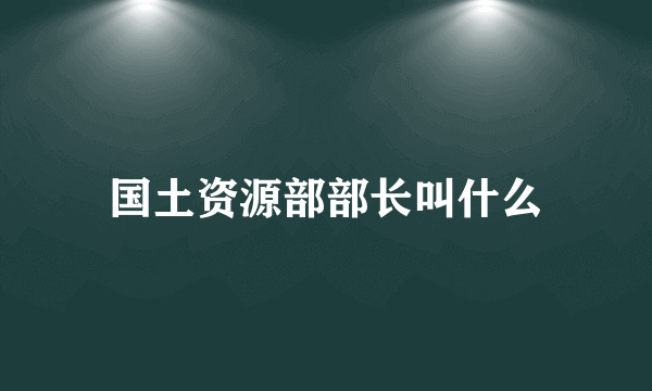 国土资源部部长叫什么