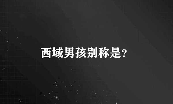 西域男孩别称是？