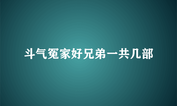 斗气冤家好兄弟一共几部