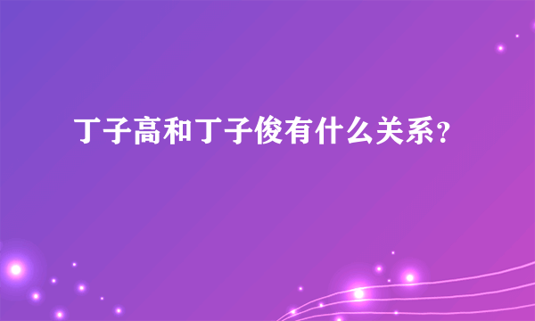 丁子高和丁子俊有什么关系？