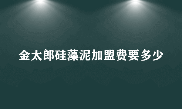 金太郎硅藻泥加盟费要多少