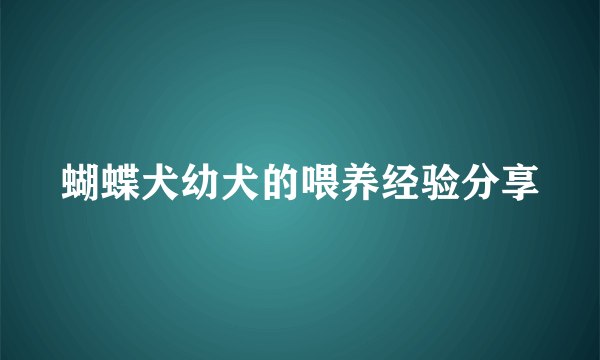 蝴蝶犬幼犬的喂养经验分享