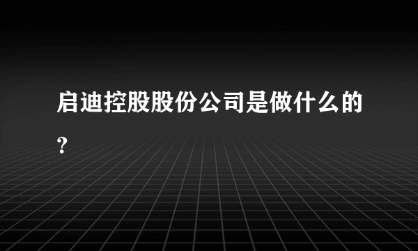 启迪控股股份公司是做什么的？