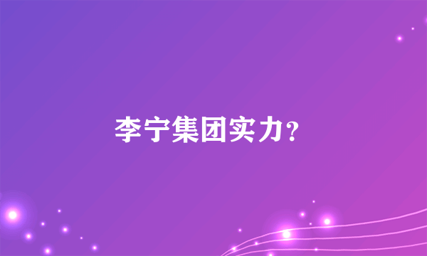 李宁集团实力？