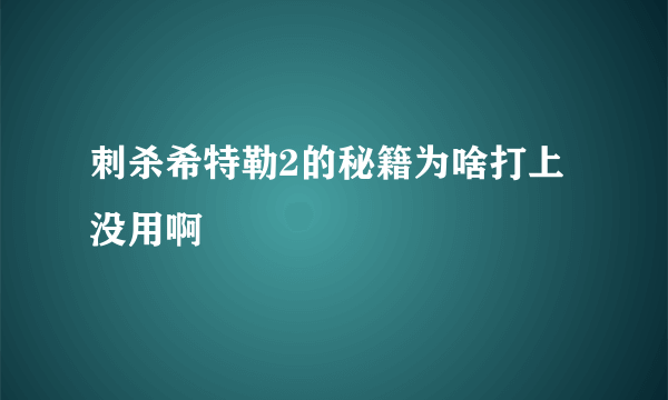 刺杀希特勒2的秘籍为啥打上没用啊