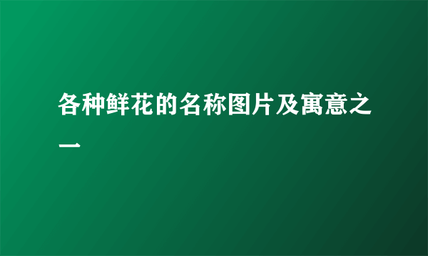 各种鲜花的名称图片及寓意之一