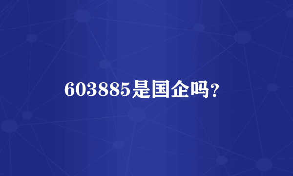 603885是国企吗？