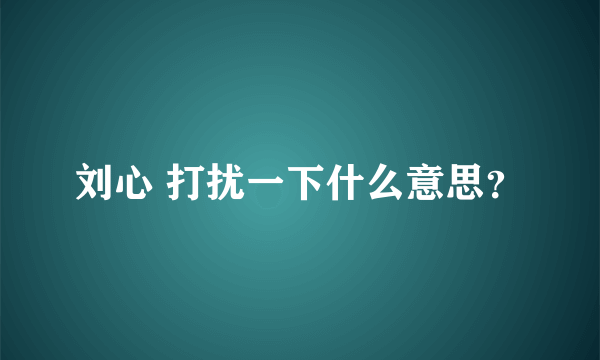 刘心 打扰一下什么意思？