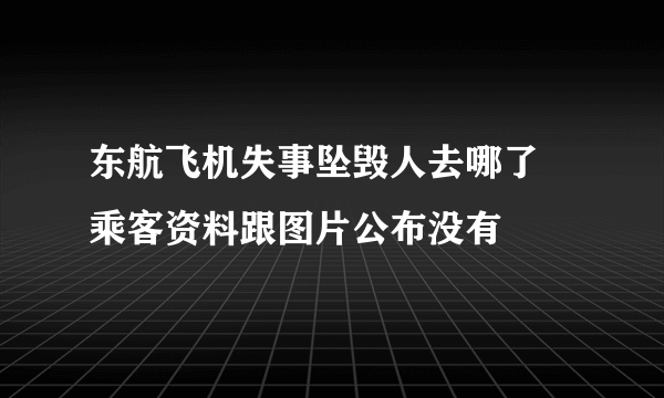 东航飞机失事坠毁人去哪了 乘客资料跟图片公布没有