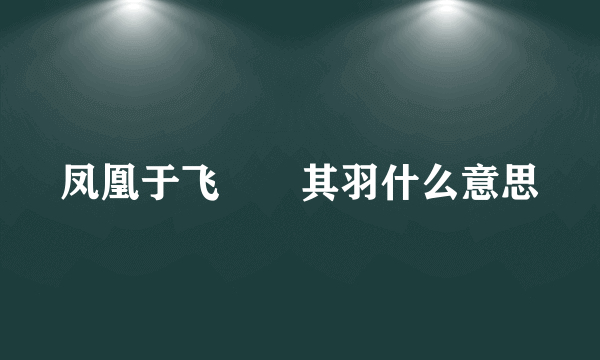 凤凰于飞翙翙其羽什么意思