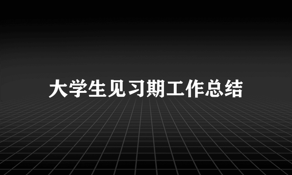 大学生见习期工作总结