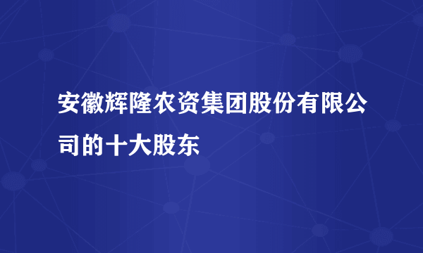 安徽辉隆农资集团股份有限公司的十大股东