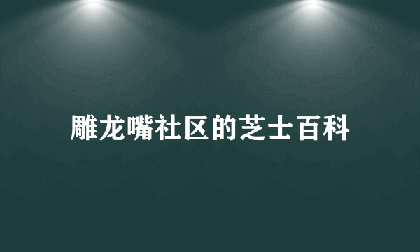 雕龙嘴社区的芝士百科