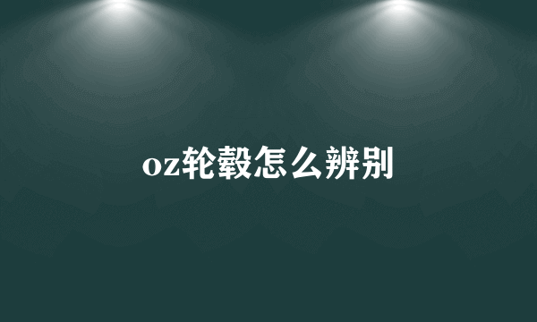 oz轮毂怎么辨别