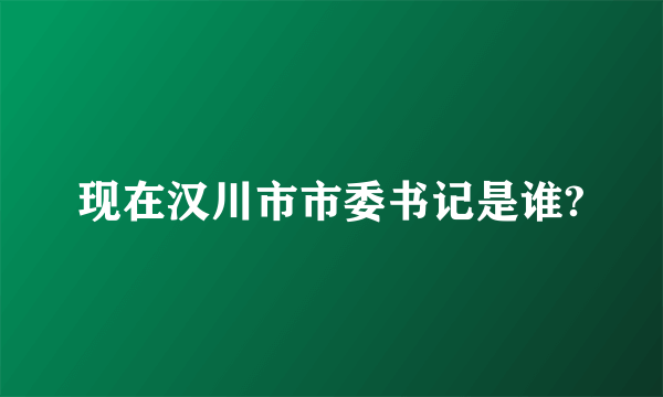 现在汉川市市委书记是谁?