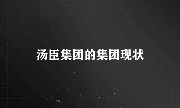 汤臣集团的集团现状