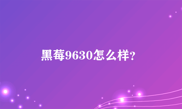 黑莓9630怎么样？