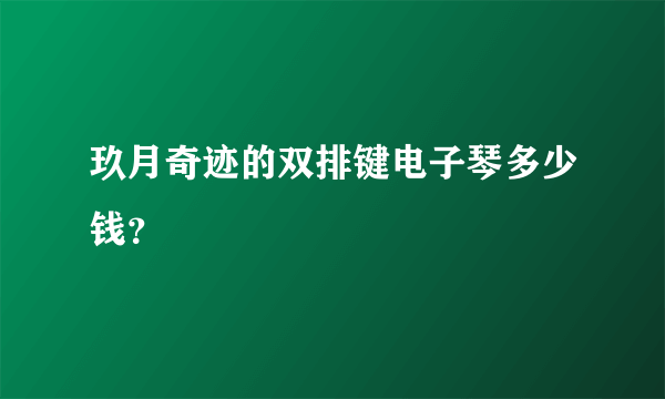 玖月奇迹的双排键电子琴多少钱？