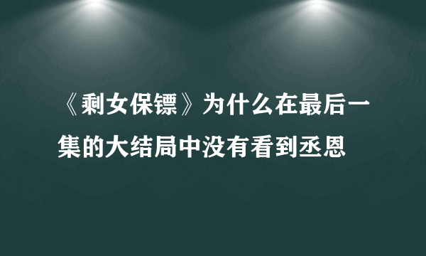 《剩女保镖》为什么在最后一集的大结局中没有看到丞恩