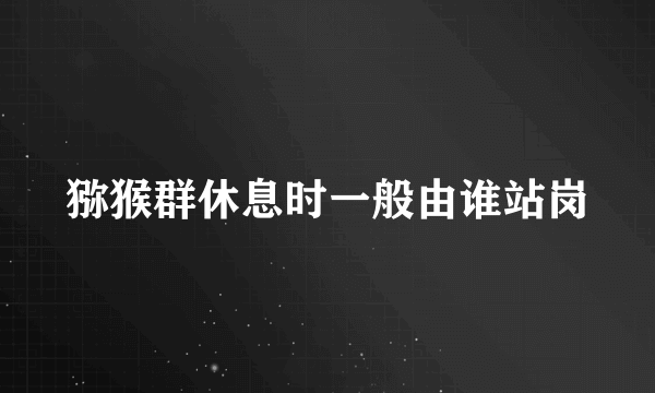 猕猴群休息时一般由谁站岗